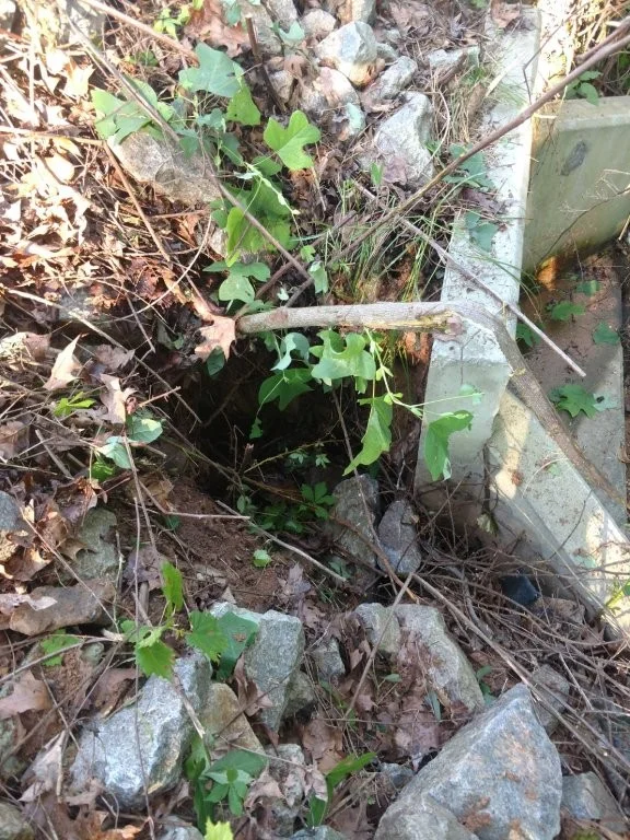 Pond excavation project