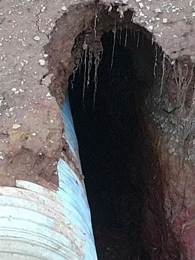 Land clearing and grubbing